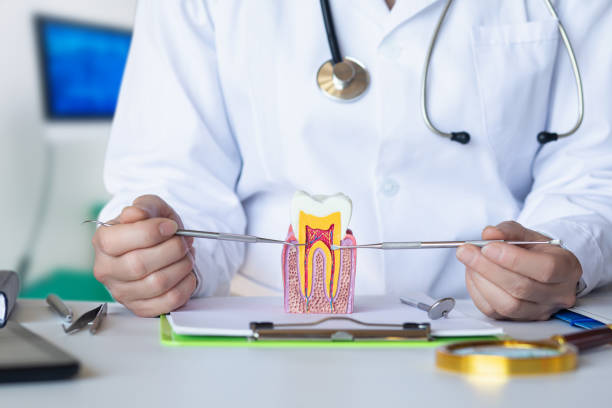 Best Knocked-Out Tooth Emergency  in Countryside, VA